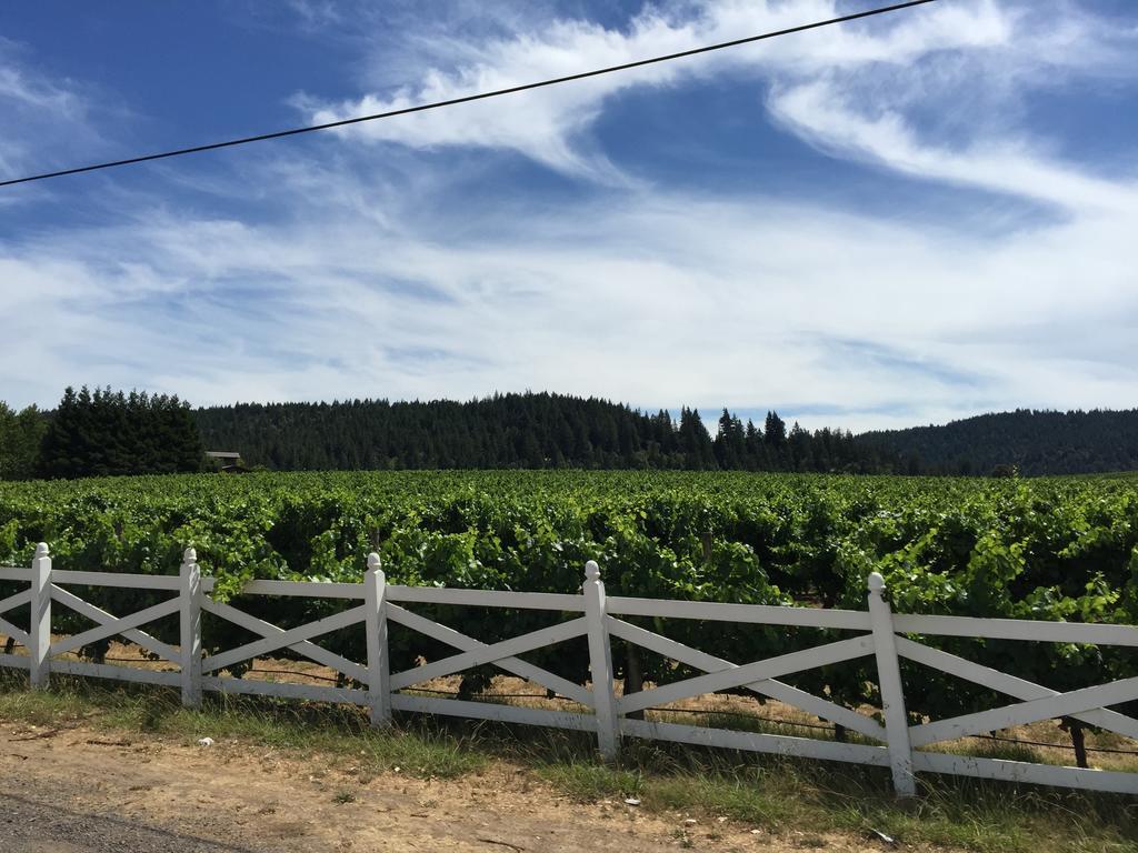 Little River Mendocino Inn & Spa מראה חיצוני תמונה