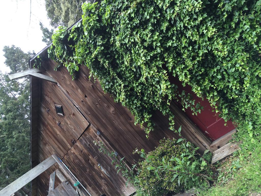 Little River Mendocino Inn & Spa מראה חיצוני תמונה